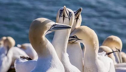 巴音郭楞蒙古高价上海医保提取2025的最新政策(2025年巴音郭楞蒙古上海医保怎么提取现金分享)