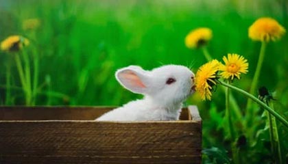 巴音郭楞蒙古高价上海医保提取2025的最新政策(2025年巴音郭楞蒙古上海医保怎么提取现金分享)